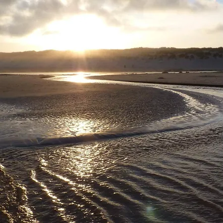 Ferienhaus 8 Person In Strand-by Traum Vejers Strand